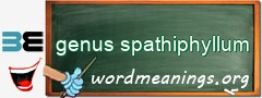 WordMeaning blackboard for genus spathiphyllum